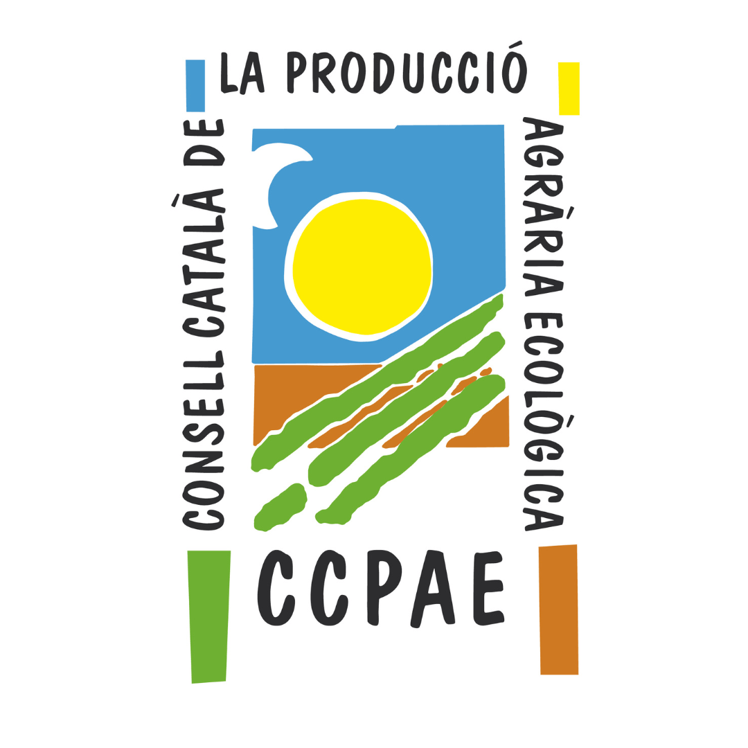 Diseño sin título (8)