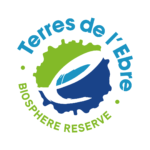 Diseño sin título (9)