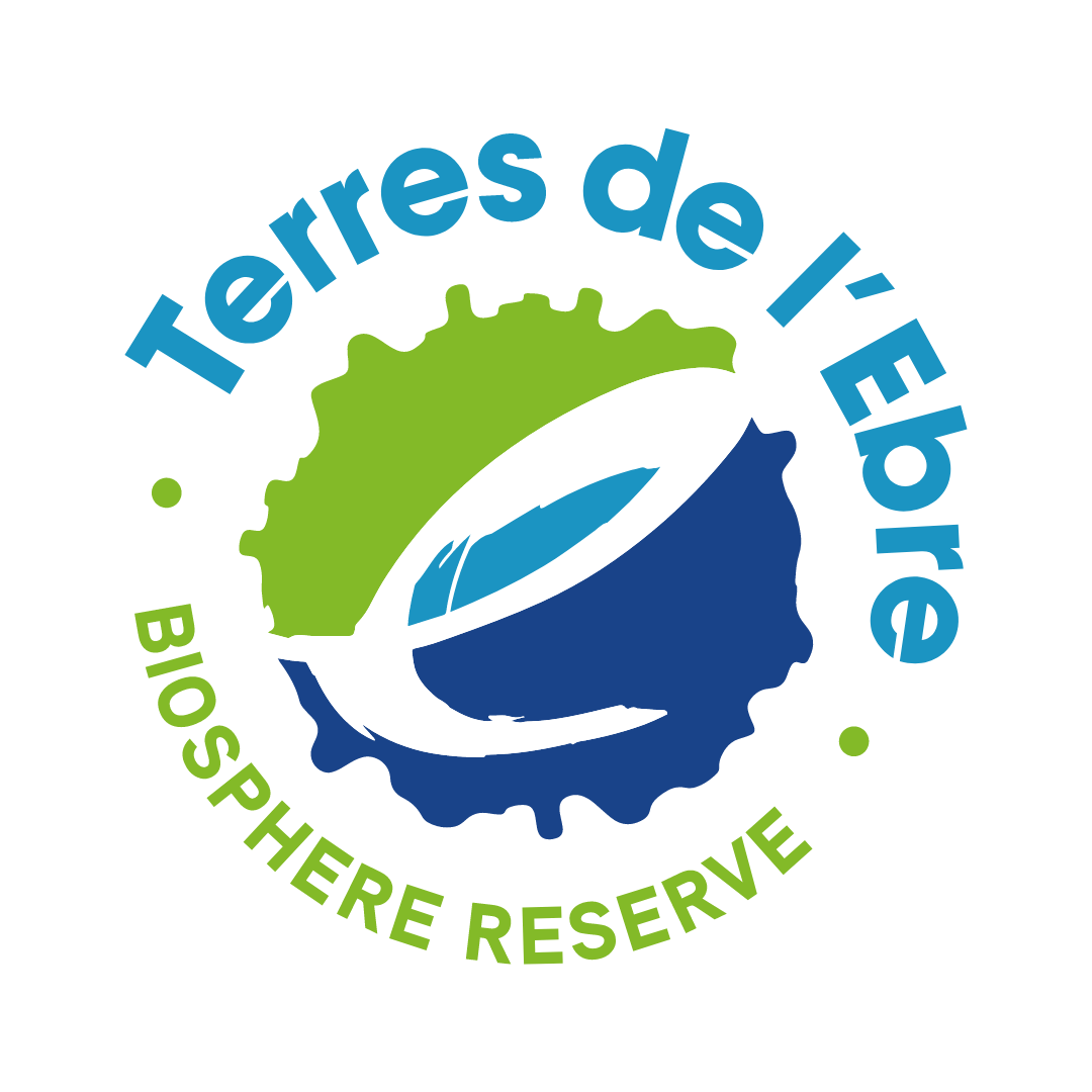 Diseño sin título (9)